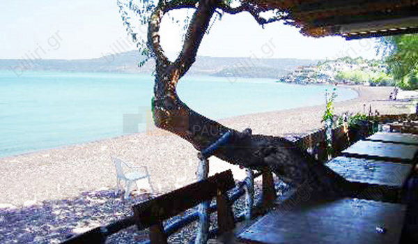Παραλία - Beach